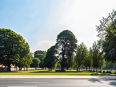 现代城市外景 城市外景 城市公园外景 都市风景 城市建筑 森林外景