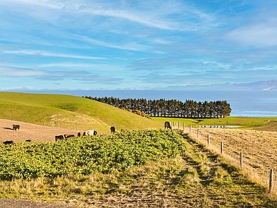 现代风景 海边坡牧场风光 田园草地农场树林 蓝天白云天空 远脉田园外景 草原草地自然田野