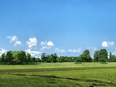 现代其它外景 现代风景 窗外景 城市公园 背景林 阳光