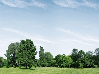 现代其它外景 现代风景 城市公园 背景林 阳光 窗外景