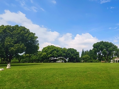 现代其它外景 现代风景 城市公园 背景林 阳光 大