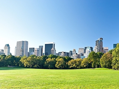 现代城市外景 白天城市外景 城市公园 背景林 阳光 大