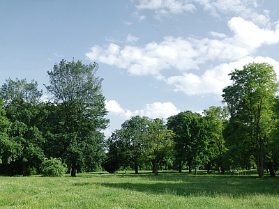 现代其它外景 现代风景 城市公园 背景林 阳光 大