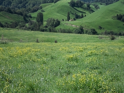 现代风景 野外 坡