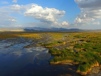 现代风景 海滩