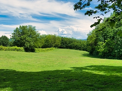 现代风景 外景风景 树林风景 草坪风景