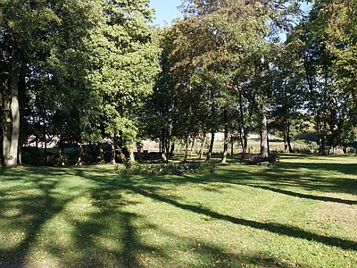 现代风景 外景风景 森林风景 草坪风景