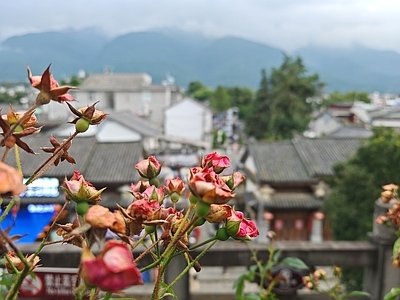 现代风景 窗景