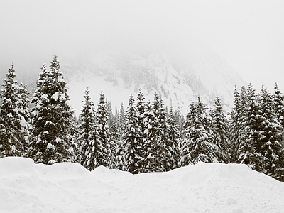 北欧风景 雪林 雪景 山