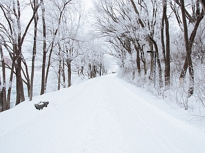 现代风景 雪地 雪景