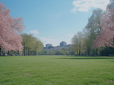 现代风景 公园森林草坪