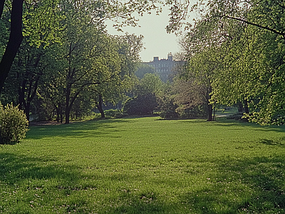 现代风景 公园森林草坪