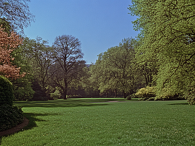 现代风景 公园森林草坪