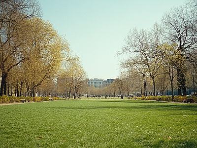 现代风景 公园森林草坪