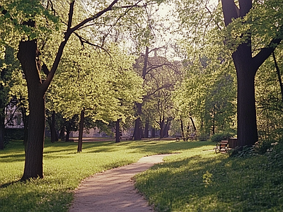 现代风景 公园森林草坪