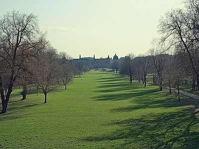 现代风景 公园森林草坪