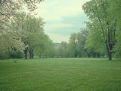 现代风景 公园森林草坪