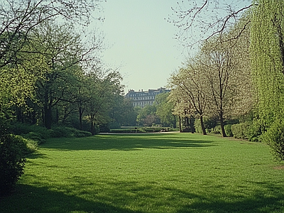 现代风景 公园森林草坪