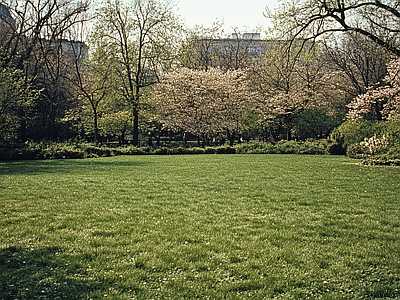 现代风景 公园森林草坪