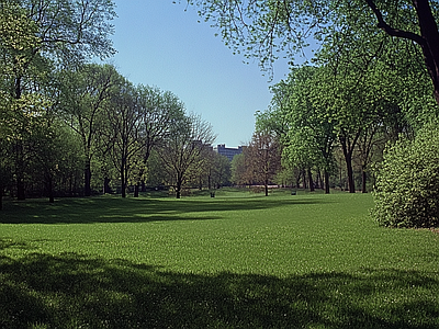 现代风景 公园森林草坪花园