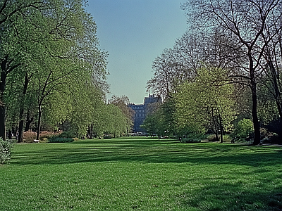 现代风景 公园森林草坪