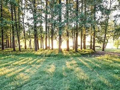 现代风景 户外风景 树林风景 外景风景