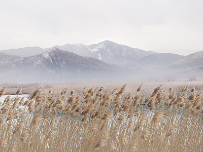 北欧原木乡村 田园 自然风景