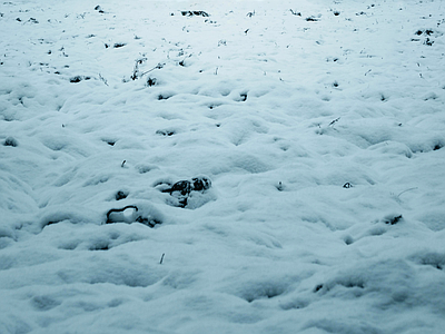 现代风景 雪景 雪地 白雪覆盖的 积雪