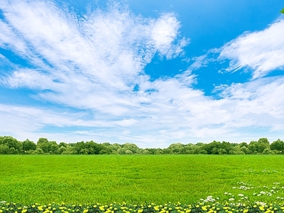 现代风景 草地风景 户外自然风景 自然风景 外景风景