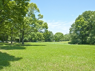 现代风景 草地风景 户外风景 户外自然风景 外景风景