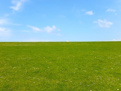 现代风景 草地风景 户外自然风景 户外风景 外景风景