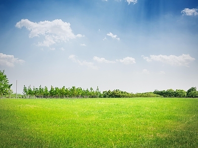 现代风景 户外风景 自然风景 草地风景 外景风景