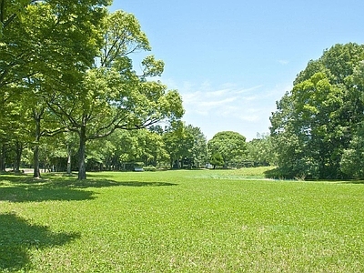 现代风景 户外风景 户外自然风景 草地风景 外景风景