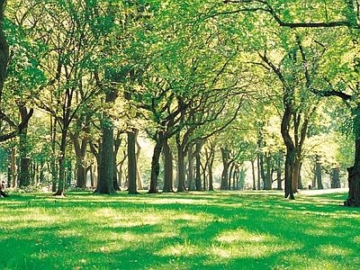 现代风景 户外风景 户外自然风景 树木风景 外景风景