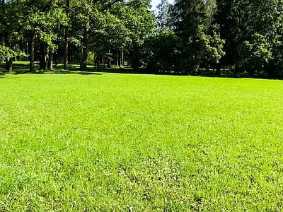 现代风景 户外风景 户外自然风景 草地风景 外景风景