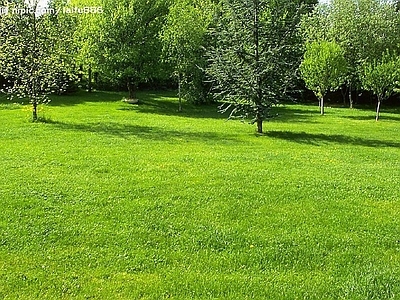 现代风景 户外风景 户外自然风景 草地风景 外景风景