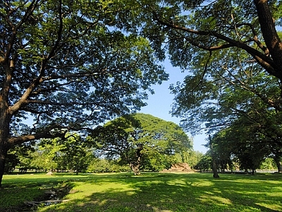 现代风景 户外风景 户外自然风景 树木风景 外景风景