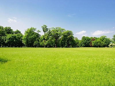 现代风景 户外风景 户外自然风景 草地风景 外景风景