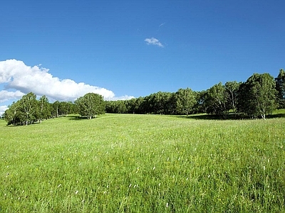 现代风景 草地风景 户外自然风景 自然风景 外景风景