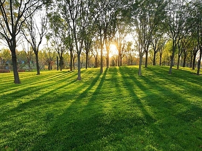 现代风景 户外风景 户外自然风景 树木风景 外景风景