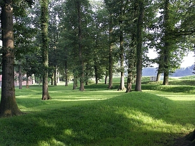 现代风景 户外风景 户外自然风景 树木风景 外景风景