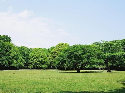 现代风景 户外风景 自然风景 草地风景 外景风景