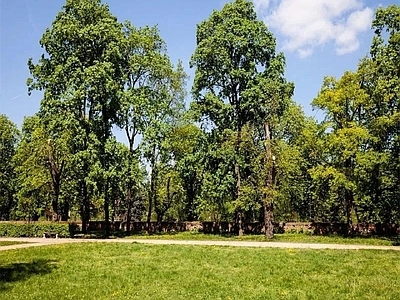 现代风景 户外风景 户外自然风景 树木风景 外景风景