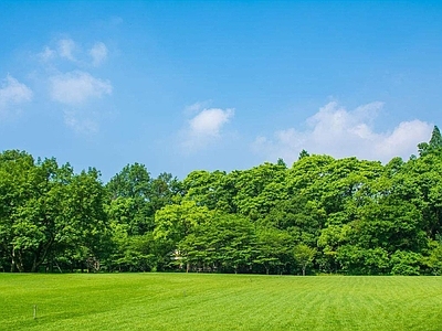 现代风景 户外自然风景 树木风景 草地风景 外景风景