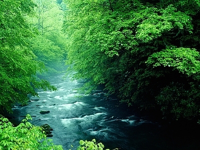 现代风景 山 河流 白天