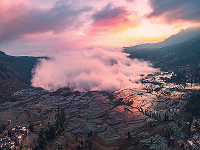 现代风景 粉色梯田 粉色天空