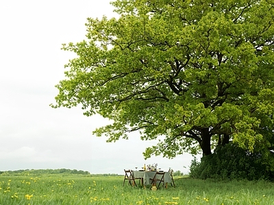 现代风景 草地 野餐 野外 户外 白天