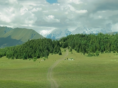 现代欧式风景 草地 山 森林