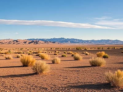 现代风景 戈壁 沙漠 荒漠 白天