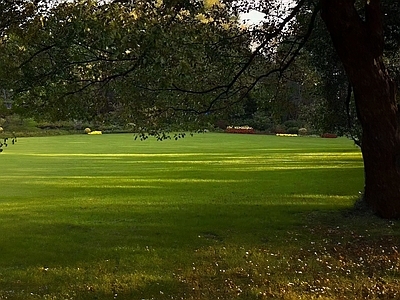 现代风景 公园 草坪 草地